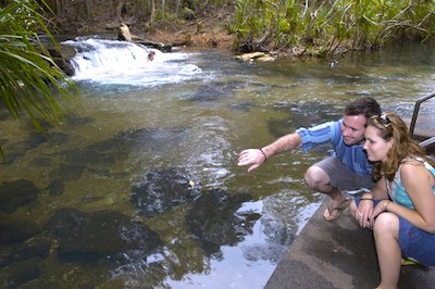 Berry Springs Nature Park