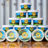 Homemade_Icream