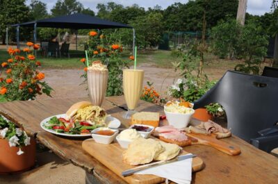 Table filled with platters of food and glasses of smoothies at Crazy Acres